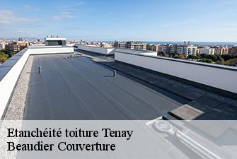 Etanchéité toiture  tenay-01230 Beaudier Couverture 