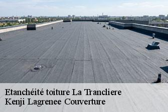 Etanchéité toiture  la-trancliere-01160 Kenji Lagrenee Couverture