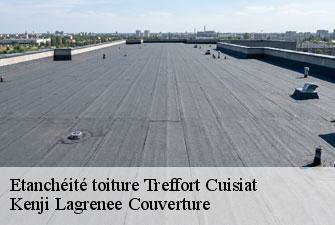 Etanchéité toiture treffort-cuisiat-01370 Kenji Lagrenee Couverture