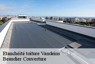 Etanchéité toiture  vandeins-01660 Beaudier Couverture 
