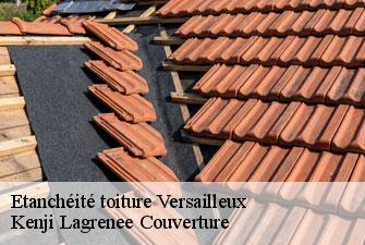 Etanchéité toiture versailleux-01330 Kenji Lagrenee Couverture