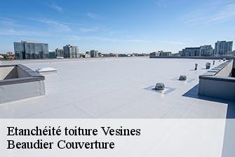 Etanchéité toiture  vesines-01570 Beaudier Couverture 