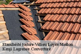 Etanchéité toiture  villieu-loyes-mollon-01800 Kenji Lagrenee Couverture