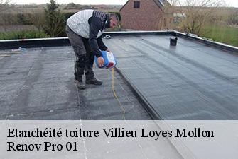 Etanchéité toiture  villieu-loyes-mollon-01800 Renov Pro 01