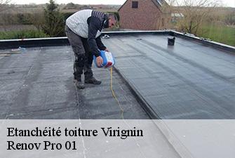 Etanchéité toiture  virignin-01300 Renov Pro 01