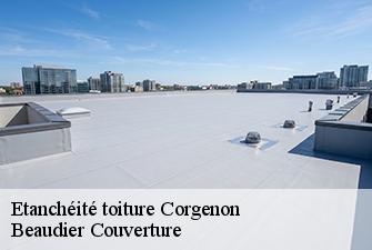 Etanchéité toiture  corgenon-01310 Beaudier Couverture 