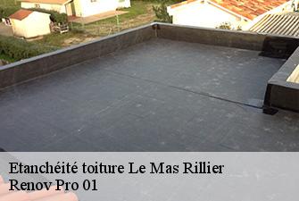 Etanchéité toiture  le-mas-rillier-01700 Renov Pro 01