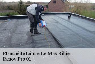 Etanchéité toiture  le-mas-rillier-01700 Renov Pro 01