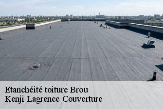 Etanchéité toiture  brou-01000 Kenji Lagrenee Couverture