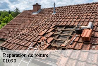 Réparation de toiture amareins-01090 Kenji Lagrenee Couverture