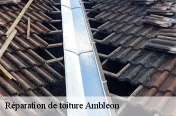 Réparation de toiture  ambleon-01300 
