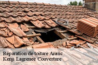 Réparation de toiture  aranc-01110 Kenji Lagrenee Couverture