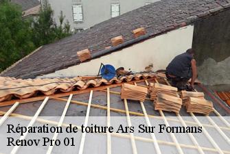 Réparation de toiture  ars-sur-formans-01480 Renov Pro 01