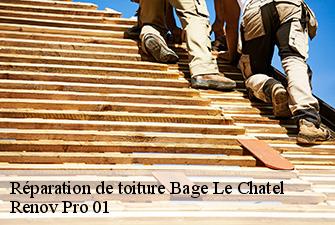 Réparation de toiture bage-le-chatel-01380 Renov Pro 01
