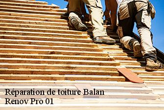 Réparation de toiture  balan-01360 Renov Pro 01