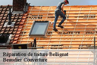 Réparation de toiture  bellignat-01810 Beaudier Couverture 