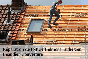 Réparation de toiture  belmont-luthezieu-01260 Beaudier Couverture 
