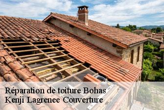 Réparation de toiture bohas-01250 Kenji Lagrenee Couverture