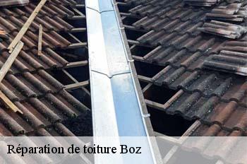 Réparation de toiture  boz-01190 