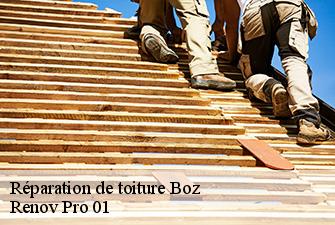 Réparation de toiture  boz-01190 Renov Pro 01