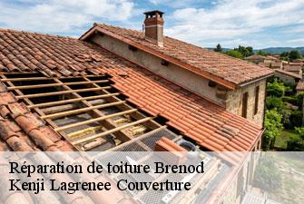 Réparation de toiture brenod-01110 Kenji Lagrenee Couverture