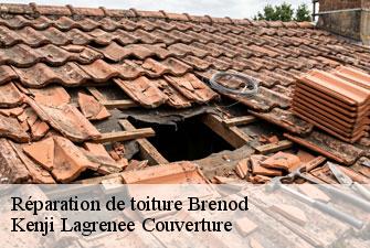 Réparation de toiture brenod-01110 Kenji Lagrenee Couverture