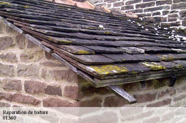 Réparation de toiture  bressolles-01360 