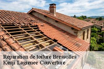 Réparation de toiture  bressolles-01360 Kenji Lagrenee Couverture