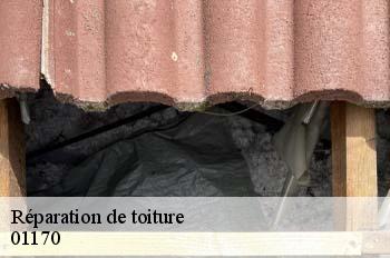 Réparation de toiture  cessy-01170 