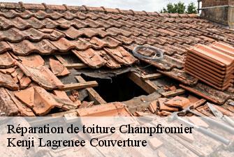 Réparation de toiture champfromier-01410 Kenji Lagrenee Couverture