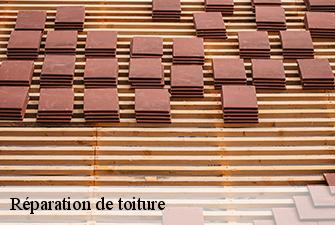 Réparation de toiture  chanay-01420 Beaudier Couverture 