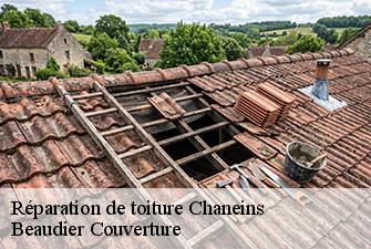 Réparation de toiture  chaneins-01990 Beaudier Couverture 