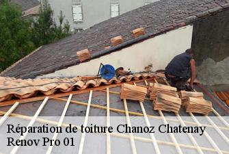 Réparation de toiture chanoz-chatenay-01400 Renov Pro 01