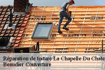 Réparation de toiture  la-chapelle-du-chatelard-01240 Beaudier Couverture 