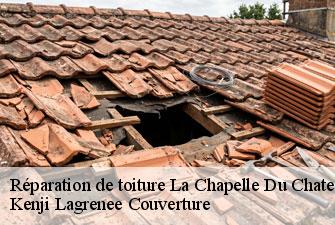 Réparation de toiture la-chapelle-du-chatelard-01240 Kenji Lagrenee Couverture