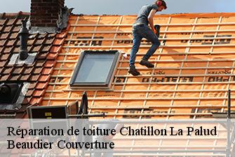 Réparation de toiture  chatillon-la-palud-01320 Beaudier Couverture 