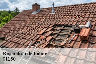 Réparation de toiture chazey-sur-ain-01150 Kenji Lagrenee Couverture