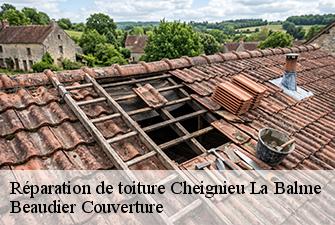 Réparation de toiture  cheignieu-la-balme-01510 Beaudier Couverture 