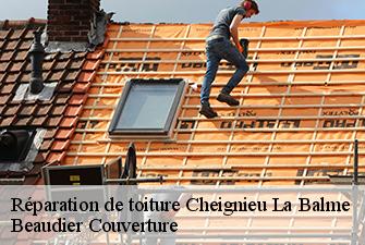 Réparation de toiture  cheignieu-la-balme-01510 Beaudier Couverture 