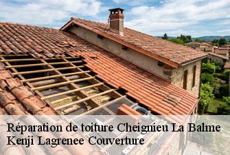 Réparation de toiture cheignieu-la-balme-01510 Kenji Lagrenee Couverture