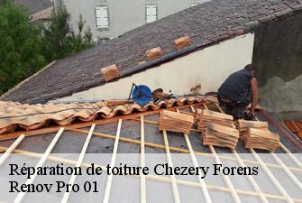 Réparation de toiture  chezery-forens-01200 Renov Pro 01