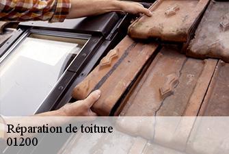 Réparation de toiture  confort-01200 Renov Pro 01