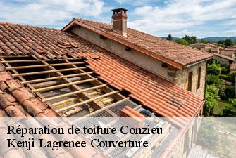 Réparation de toiture conzieu-01300 Kenji Lagrenee Couverture