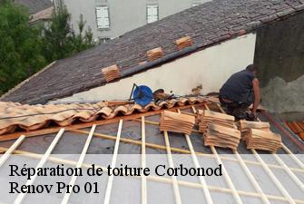 Réparation de toiture  corbonod-01420 Renov Pro 01