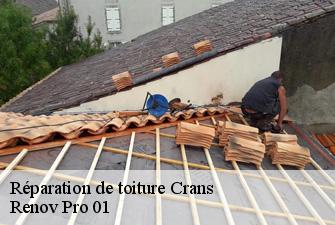 Réparation de toiture  crans-01320 Renov Pro 01