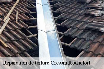 Réparation de toiture  cressin-rochefort-01350 