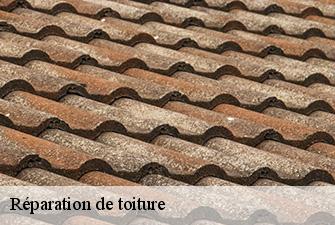 Réparation de toiture  crottet-01620 Renov Pro 01