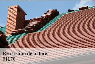 Réparation de toiture  crozet-01170 Renov Pro 01