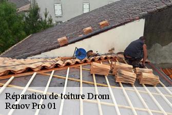 Réparation de toiture  drom-01250 Renov Pro 01