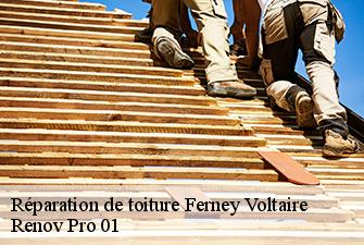 Réparation de toiture  ferney-voltaire-01210 Renov Pro 01